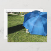 Postkarte - der Osterhase zu Besuch (Vorne/Hinten)