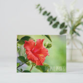 Postkarte der philippinischen Hibiskus-Blume (Stehend Vorderseite)