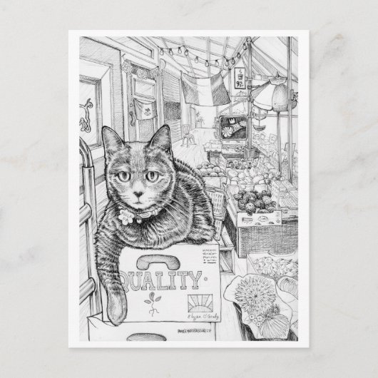 Postkarte der Philly Cat auf der 9. Straße (Vorderseite)