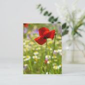 Postkarte - Der Rote Mohn (Stehend Vorderseite)