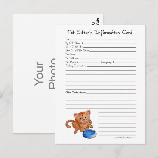 Postkarte der Sitzenden - Katze (Vorne/Hinten)