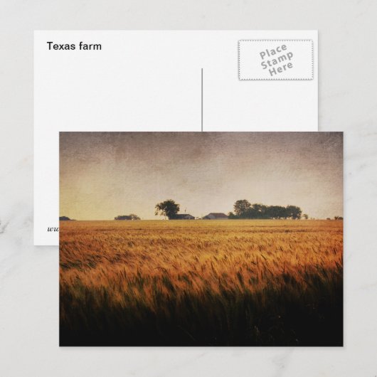 Postkarte der Texasfarm (Vorne/Hinten)