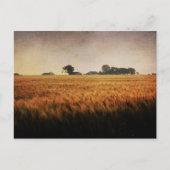 Postkarte der Texasfarm (Vorderseite)