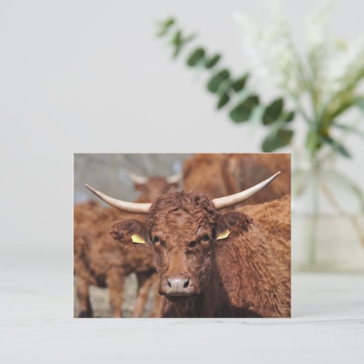 Postkarte der Verkäufer (Stehend Vorderseite)