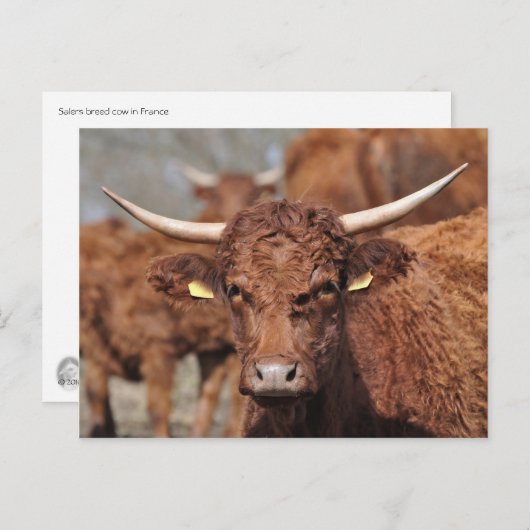 Postkarte der Verkäufer (Vorne/Hinten)