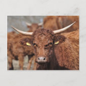 Postkarte der Verkäufer (Vorderseite)