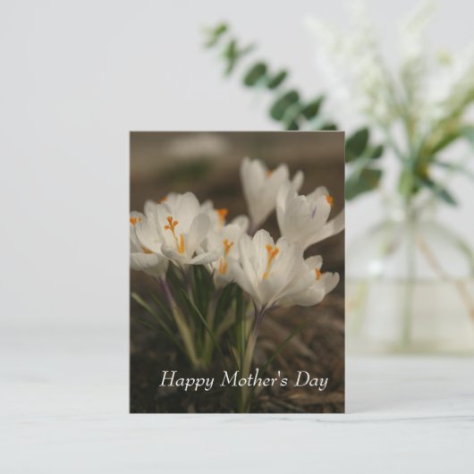 Postkarte der weißen Muttergottes (Stehend Vorderseite)