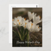 Postkarte der weißen Muttergottes (Vorne/Hinten)