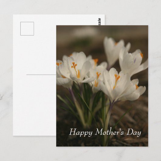 Postkarte der weißen Muttergottes (Vorne/Hinten)