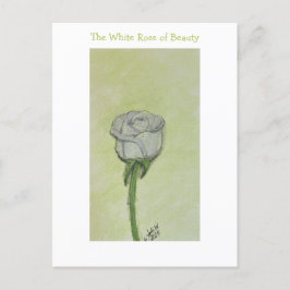 Postkarte der weißen Rose oder Hinweis
