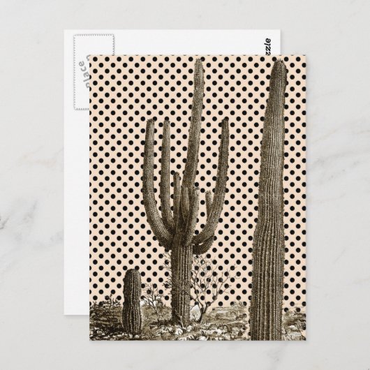 Postkarte der Wüste (Vorne/Hinten)