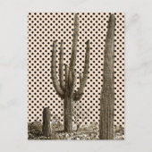 Postkarte der Wüste (Vorderseite)