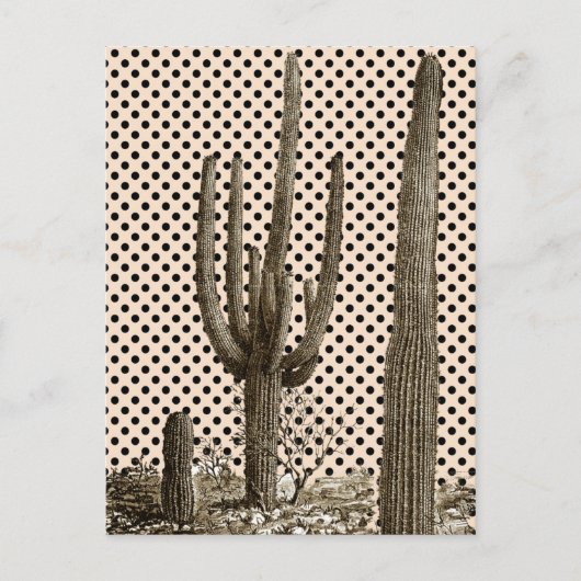 Postkarte der Wüste (Vorderseite)