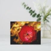 Postkarte der Wüste (Stehend Vorderseite)
