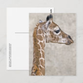 Postkarte des Afrikanischen Prinzen (Vorne/Hinten)