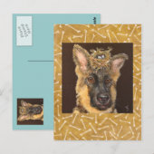 Postkarte des deutschen Hirten (Vorne/Hinten)