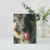 Postkarte des deutschen Hirten (Stehend Vorderseite)