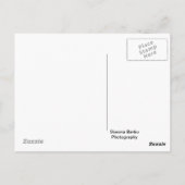 Postkarte des Eiffelturms (Rückseite)