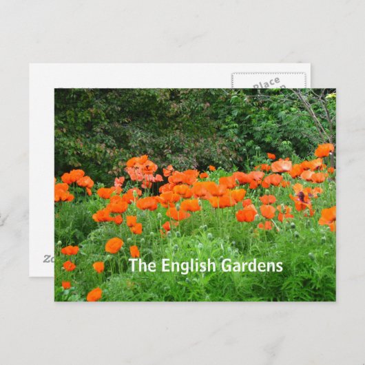 Postkarte des Englischen Gartens (Vorne/Hinten)