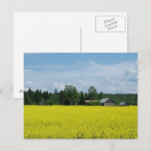 Postkarte des finnischen Lands (Vorne/Hinten)