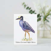 Postkarte des Gelben Nachtherons (Stehend Vorderseite)