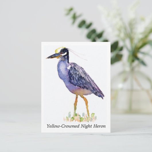 Postkarte des Gelben Nachtherons (Stehend Vorderseite)