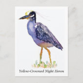 Postkarte des Gelben Nachtherons (Vorderseite)