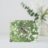 Postkarte des gestrichenen Hornets (Stehend Vorderseite)