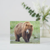 Postkarte des Grizzlybären (Stehend Vorderseite)