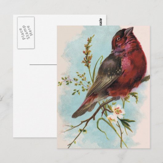 Postkarte des Hauses (Vorne/Hinten)