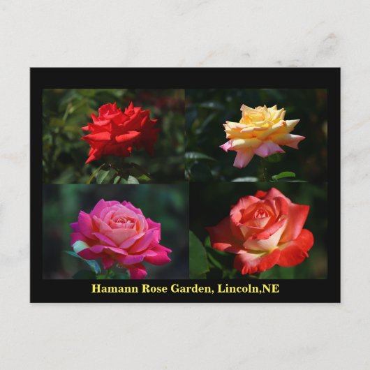 Postkarte des HRG 2014 900 (Vorderseite)