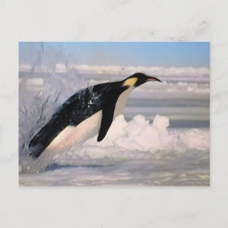 Postkarte des Kaisers für arktische und antarktisc