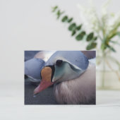 Postkarte des Königs (Stehend Vorderseite)