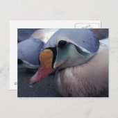 Postkarte des Königs (Vorne/Hinten)