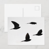 Postkarte des Kuckucksumpfs (Vorne/Hinten)