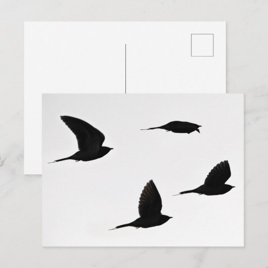 Postkarte des Kuckucksumpfs (Vorne/Hinten)