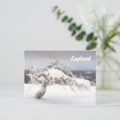 Postkarte des Lapplands (Stehend Vorderseite)
