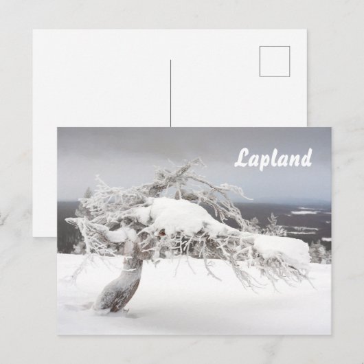 Postkarte des Lapplands (Vorne/Hinten)