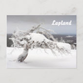 Postkarte des Lapplands (Vorderseite)