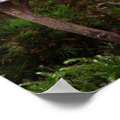 Postkarte des Maiselfenlas - Poster (Ecke)