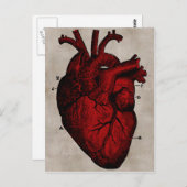 Postkarte des menschlichen Herzens (Vorne/Hinten)