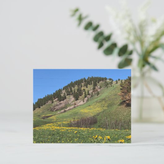 Postkarte des Mount Otis (Stehend Vorderseite)