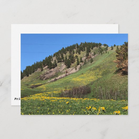 Postkarte des Mount Otis (Vorne/Hinten)