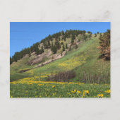 Postkarte des Mount Otis (Vorderseite)