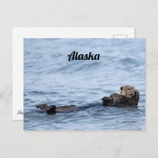 Postkarte des Otters (Vorne/Hinten)