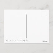 Postkarte des Otters (Rückseite)