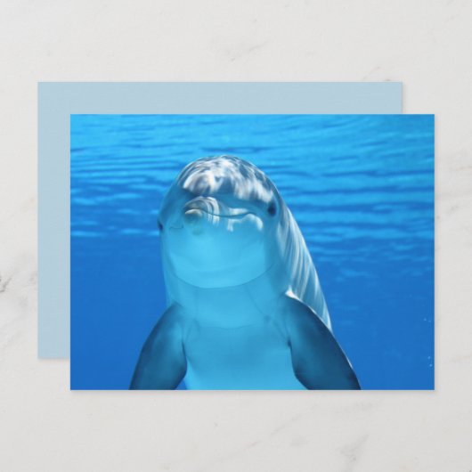 Postkarte des Ozeandolphins (Vorne/Hinten)