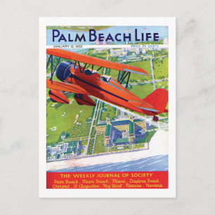 Postkarte des Palm Beach-Lebens #1