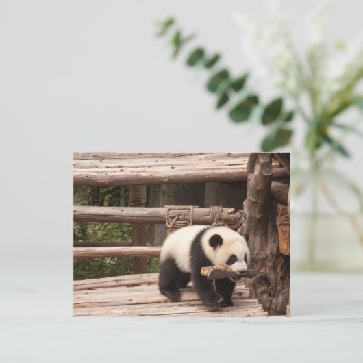 Postkarte des Panda Bären (Stehend Vorderseite)