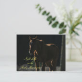 Postkarte des Pferdes im Rocky Mountains (Stehend Vorderseite)